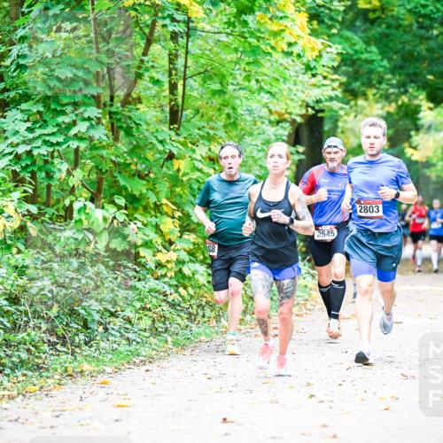 12.10.2025 - Bramfelder Halbmarathon 2025 Dr. Thomas Lammeyer http://msf.ph/oto/9340687 12.10.2025 09:48:57 Laufen 88, 2545, 2803 meine-sportfotos.de