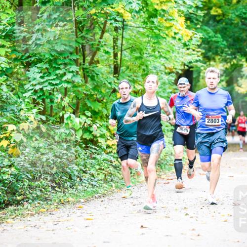 12.10.2025 - Bramfelder Halbmarathon 2025 Dr. Thomas Lammeyer http://msf.ph/oto/9340690 12.10.2025 09:48:58 Laufen 2545, 2803 meine-sportfotos.de