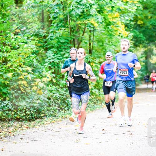 12.10.2025 - Bramfelder Halbmarathon 2025 Dr. Thomas Lammeyer http://msf.ph/oto/9340695 12.10.2025 09:48:58 Laufen 88, 2545, 2803 meine-sportfotos.de