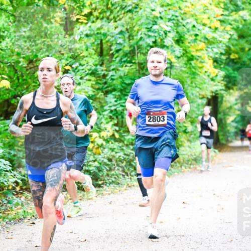 12.10.2025 - Bramfelder Halbmarathon 2025 Dr. Thomas Lammeyer http://msf.ph/oto/9340703 12.10.2025 09:49:00 Laufen 2803 meine-sportfotos.de