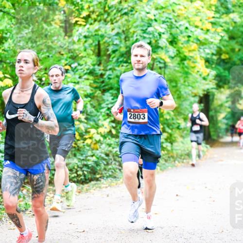 12.10.2025 - Bramfelder Halbmarathon 2025 Dr. Thomas Lammeyer http://msf.ph/oto/9340704 12.10.2025 09:49:00 Laufen 2803 meine-sportfotos.de