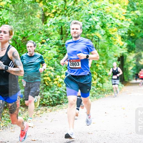 12.10.2025 - Bramfelder Halbmarathon 2025 Dr. Thomas Lammeyer http://msf.ph/oto/9340705 12.10.2025 09:49:00 Laufen 68, 2803 meine-sportfotos.de