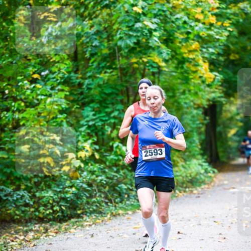 12.10.2025 - Bramfelder Halbmarathon 2025 Dr. Thomas Lammeyer http://msf.ph/oto/9340733 12.10.2025 09:49:08 Laufen 2593 meine-sportfotos.de