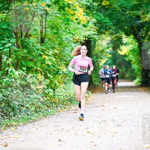 12.10.2025 - Bramfelder Halbmarathon 2025 Dr. Thomas Lammeyer http://msf.ph/oto/9341015 12.10.2025 09:50:28 Laufen 2669 meine-sportfotos.de