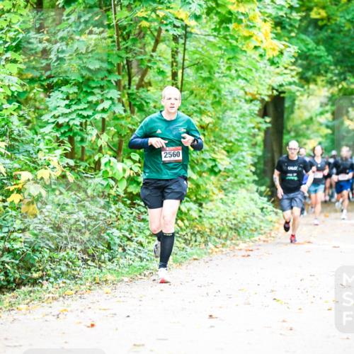 12.10.2025 - Bramfelder Halbmarathon 2025 Dr. Thomas Lammeyer http://msf.ph/oto/9341179 12.10.2025 09:51:00 Laufen 2560 meine-sportfotos.de
