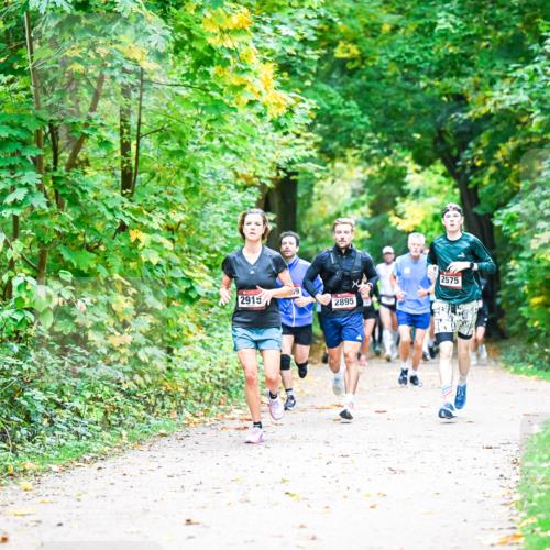 12.10.2025 - Bramfelder Halbmarathon 2025 Dr. Thomas Lammeyer http://msf.ph/oto/9341194 12.10.2025 09:51:05 Laufen 2915, 2895, 2575 meine-sportfotos.de