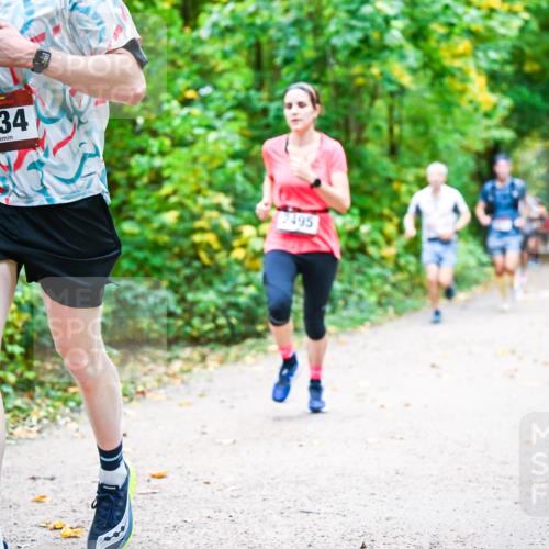 12.10.2025 - Bramfelder Halbmarathon 2025 Dr. Thomas Lammeyer http://msf.ph/oto/9341619 12.10.2025 09:52:25 Laufen 2434, 2495 meine-sportfotos.de