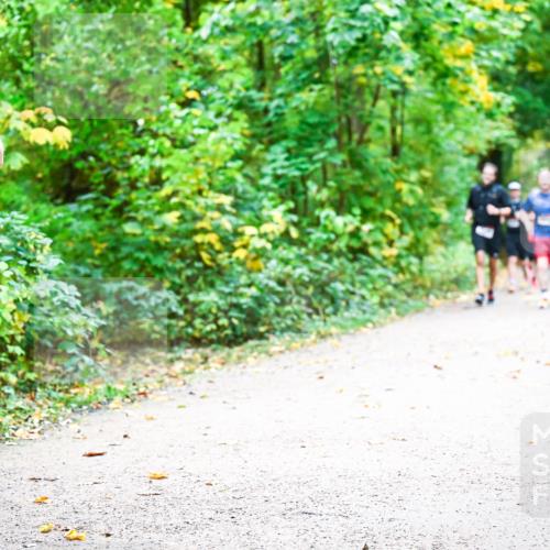 12.10.2025 - Bramfelder Halbmarathon 2025 Dr. Thomas Lammeyer http://msf.ph/oto/9341744 12.10.2025 09:52:52 Laufen 2556, 35, 17 meine-sportfotos.de