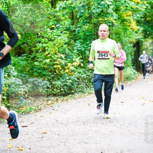 12.10.2025 - Bramfelder Halbmarathon 2025 Dr. Thomas Lammeyer http://msf.ph/oto/9341825 12.10.2025 09:53:06 Laufen 2573, 2643 meine-sportfotos.de