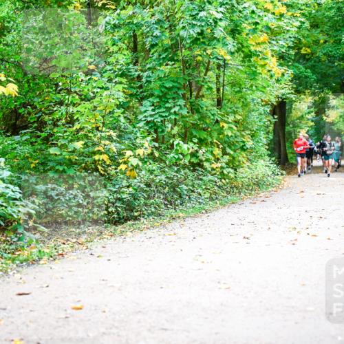 12.10.2025 - Bramfelder Halbmarathon 2025 Dr. Thomas Lammeyer http://msf.ph/oto/9341994 12.10.2025 09:53:38 Laufen  meine-sportfotos.de