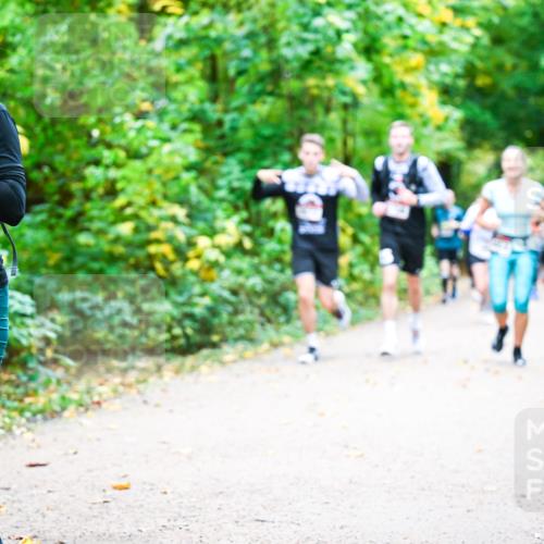 12.10.2025 - Bramfelder Halbmarathon 2025 Dr. Thomas Lammeyer http://msf.ph/oto/9342040 12.10.2025 09:53:50 Laufen 2724 meine-sportfotos.de
