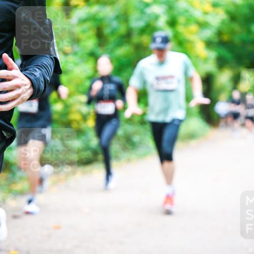 12.10.2025 - Bramfelder Halbmarathon 2025 Dr. Thomas Lammeyer http://msf.ph/oto/9342090 12.10.2025 09:53:58 Laufen 50 meine-sportfotos.de