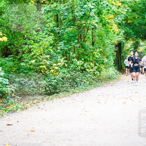 12.10.2025 - Bramfelder Halbmarathon 2025 Dr. Thomas Lammeyer http://msf.ph/oto/9342098 12.10.2025 09:54:00 Laufen 277, 2977 meine-sportfotos.de