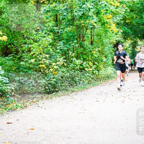 12.10.2025 - Bramfelder Halbmarathon 2025 Dr. Thomas Lammeyer http://msf.ph/oto/9342104 12.10.2025 09:54:02 Laufen 2777, 2977 meine-sportfotos.de