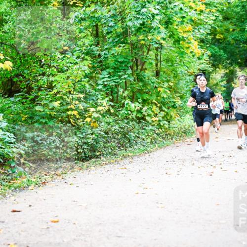 12.10.2025 - Bramfelder Halbmarathon 2025 Dr. Thomas Lammeyer http://msf.ph/oto/9342106 12.10.2025 09:54:02 Laufen 2777 meine-sportfotos.de