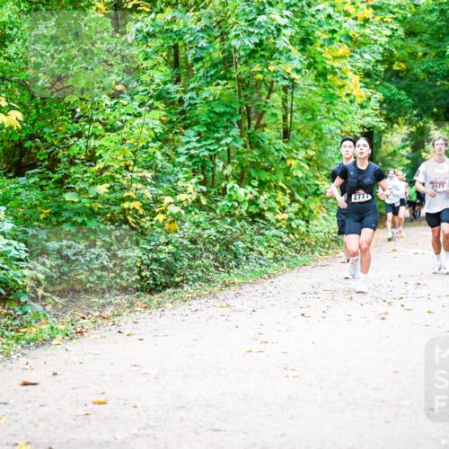 12.10.2025 - Bramfelder Halbmarathon 2025 Dr. Thomas Lammeyer http://msf.ph/oto/9342108 12.10.2025 09:54:02 Laufen 2777, 2977 meine-sportfotos.de