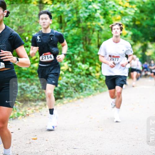 12.10.2025 - Bramfelder Halbmarathon 2025 Dr. Thomas Lammeyer http://msf.ph/oto/9342127 12.10.2025 09:54:05 Laufen 2777, 2714, 2977 meine-sportfotos.de