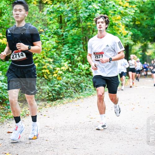12.10.2025 - Bramfelder Halbmarathon 2025 Dr. Thomas Lammeyer http://msf.ph/oto/9342128 12.10.2025 09:54:05 Laufen 2714, 2977 meine-sportfotos.de