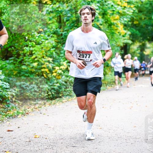 12.10.2025 - Bramfelder Halbmarathon 2025 Dr. Thomas Lammeyer http://msf.ph/oto/9342131 12.10.2025 09:54:06 Laufen 2714, 2977, 74 meine-sportfotos.de