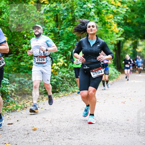 12.10.2025 - Bramfelder Halbmarathon 2025 Dr. Thomas Lammeyer http://msf.ph/oto/9342191 12.10.2025 09:54:16 Laufen 05, 11, 2023, 245, 2526, 2563 meine-sportfotos.de