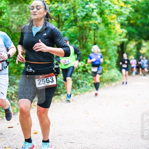 12.10.2025 - Bramfelder Halbmarathon 2025 Dr. Thomas Lammeyer http://msf.ph/oto/9342197 12.10.2025 09:54:17 Laufen 2526, 34, 2563 meine-sportfotos.de