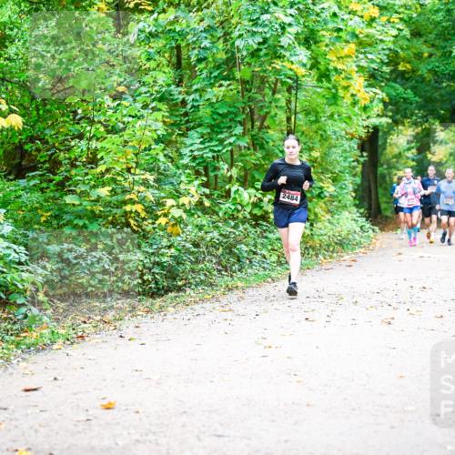 12.10.2025 - Bramfelder Halbmarathon 2025 Dr. Thomas Lammeyer http://msf.ph/oto/9342215 12.10.2025 09:54:20 Laufen 2484 meine-sportfotos.de