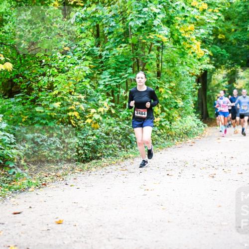 12.10.2025 - Bramfelder Halbmarathon 2025 Dr. Thomas Lammeyer http://msf.ph/oto/9342219 12.10.2025 09:54:20 Laufen 2484 meine-sportfotos.de