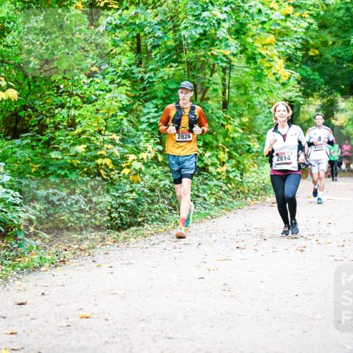 12.10.2025 - Bramfelder Halbmarathon 2025 Dr. Thomas Lammeyer http://msf.ph/oto/9342371 12.10.2025 09:54:50 Laufen 2826, 2814, 2768 meine-sportfotos.de