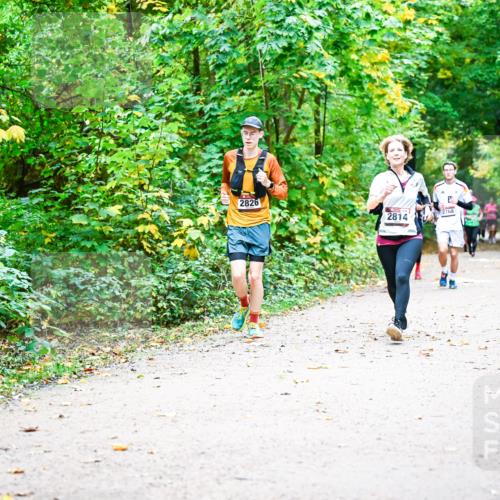 12.10.2025 - Bramfelder Halbmarathon 2025 Dr. Thomas Lammeyer http://msf.ph/oto/9342372 12.10.2025 09:54:50 Laufen 2826, 2768, 2814 meine-sportfotos.de