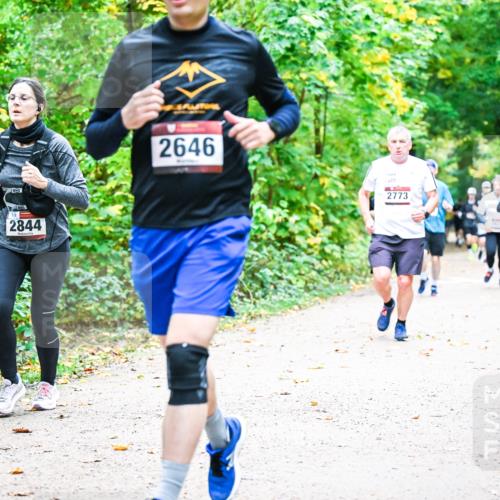 12.10.2025 - Bramfelder Halbmarathon 2025 Dr. Thomas Lammeyer http://msf.ph/oto/9342507 12.10.2025 09:55:12 Laufen 2844, 2646, 2773 meine-sportfotos.de