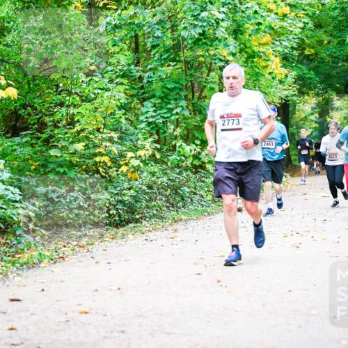 12.10.2025 - Bramfelder Halbmarathon 2025 Dr. Thomas Lammeyer http://msf.ph/oto/9342512 12.10.2025 09:55:13 Laufen 2773, 2463, 2611, 2623, 2540 meine-sportfotos.de