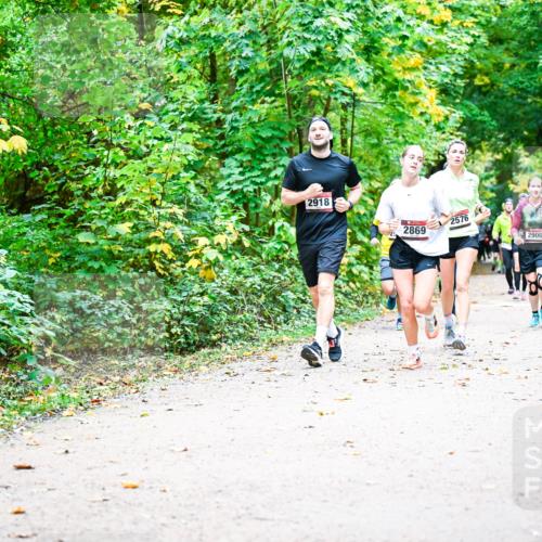 12.10.2025 - Bramfelder Halbmarathon 2025 Dr. Thomas Lammeyer http://msf.ph/oto/9342597 12.10.2025 09:55:27 Laufen 2918, 2869, 2576, 2900 meine-sportfotos.de