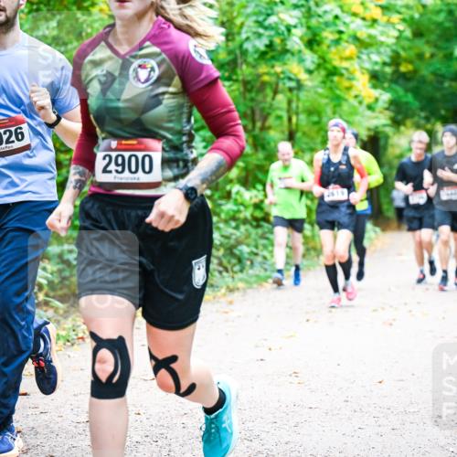 12.10.2025 - Bramfelder Halbmarathon 2025 Dr. Thomas Lammeyer http://msf.ph/oto/9342630 12.10.2025 09:55:32 Laufen 2926, 2900, 2615 meine-sportfotos.de