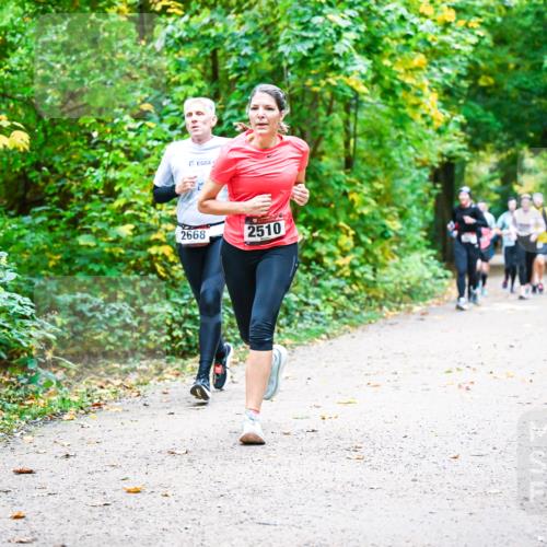 12.10.2025 - Bramfelder Halbmarathon 2025 Dr. Thomas Lammeyer http://msf.ph/oto/9342722 12.10.2025 09:55:47 Laufen 2668, 2510 meine-sportfotos.de
