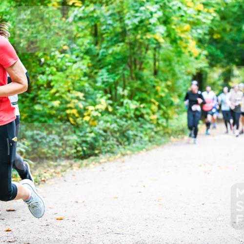 12.10.2025 - Bramfelder Halbmarathon 2025 Dr. Thomas Lammeyer http://msf.ph/oto/9342731 12.10.2025 09:55:48 Laufen 2510 meine-sportfotos.de