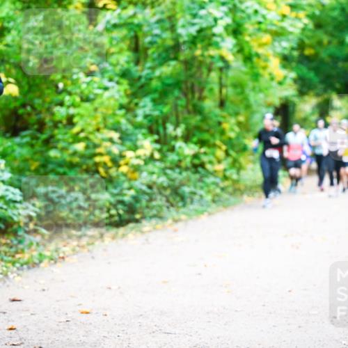 12.10.2025 - Bramfelder Halbmarathon 2025 Dr. Thomas Lammeyer http://msf.ph/oto/9342733 12.10.2025 09:55:49 Laufen  meine-sportfotos.de