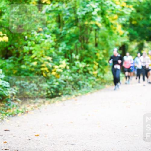 12.10.2025 - Bramfelder Halbmarathon 2025 Dr. Thomas Lammeyer http://msf.ph/oto/9342734 12.10.2025 09:55:49 Laufen  meine-sportfotos.de