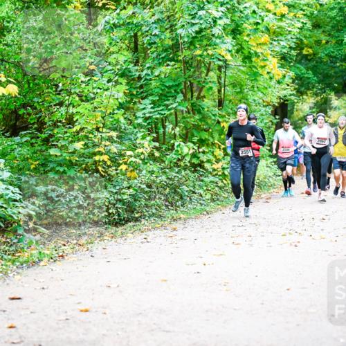12.10.2025 - Bramfelder Halbmarathon 2025 Dr. Thomas Lammeyer http://msf.ph/oto/9342739 12.10.2025 09:55:50 Laufen 2551, 2586, 2862, 2874 meine-sportfotos.de