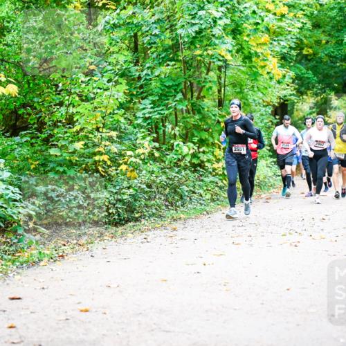 12.10.2025 - Bramfelder Halbmarathon 2025 Dr. Thomas Lammeyer http://msf.ph/oto/9342740 12.10.2025 09:55:50 Laufen 2551, 2586, 2862, 2874 meine-sportfotos.de