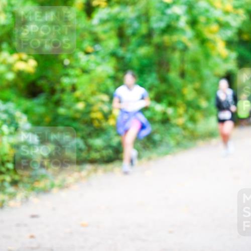 12.10.2025 - Bramfelder Halbmarathon 2025 Dr. Thomas Lammeyer http://msf.ph/oto/9342796 12.10.2025 09:56:00 Laufen  meine-sportfotos.de