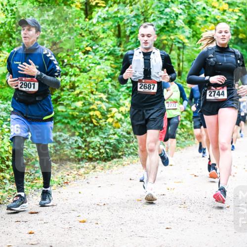 12.10.2025 - Bramfelder Halbmarathon 2025 Dr. Thomas Lammeyer http://msf.ph/oto/9342953 12.10.2025 09:56:42 Laufen 16, 2901, 2687, 2772, 2744 meine-sportfotos.de