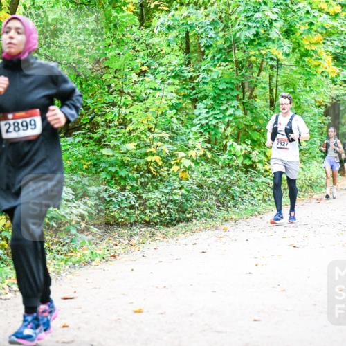 12.10.2025 - Bramfelder Halbmarathon 2025 Dr. Thomas Lammeyer http://msf.ph/oto/9343134 12.10.2025 09:57:23 Laufen 2899, 2927 meine-sportfotos.de
