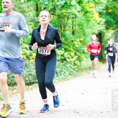 12.10.2025 - Bramfelder Halbmarathon 2025 Dr. Thomas Lammeyer http://msf.ph/oto/9343246 12.10.2025 09:57:53 Laufen 2502, 2577 meine-sportfotos.de