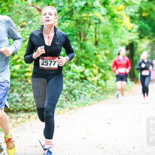 12.10.2025 - Bramfelder Halbmarathon 2025 Dr. Thomas Lammeyer http://msf.ph/oto/9343248 12.10.2025 09:57:53 Laufen 2592, 2577 meine-sportfotos.de