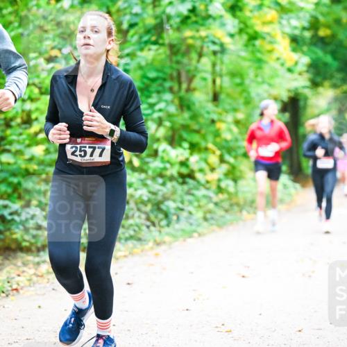 12.10.2025 - Bramfelder Halbmarathon 2025 Dr. Thomas Lammeyer http://msf.ph/oto/9343249 12.10.2025 09:57:53 Laufen 2592, 2577 meine-sportfotos.de