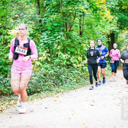 12.10.2025 - Bramfelder Halbmarathon 2025 Dr. Thomas Lammeyer http://msf.ph/oto/9343300 12.10.2025 09:58:02 Laufen 01, 2645, 94, 2648, 2650, 2555 meine-sportfotos.de