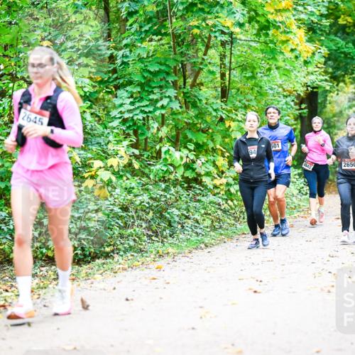 12.10.2025 - Bramfelder Halbmarathon 2025 Dr. Thomas Lammeyer http://msf.ph/oto/9343301 12.10.2025 09:58:02 Laufen 2645, 94, 501, 2650, 2555 meine-sportfotos.de