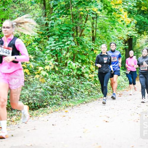 12.10.2025 - Bramfelder Halbmarathon 2025 Dr. Thomas Lammeyer http://msf.ph/oto/9343302 12.10.2025 09:58:03 Laufen 2645, 94, 501, 2648, 2650, 256, 2555 meine-sportfotos.de
