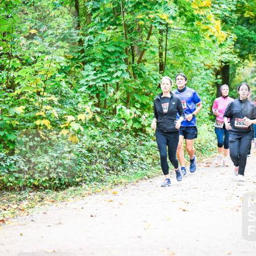 12.10.2025 - Bramfelder Halbmarathon 2025 Dr. Thomas Lammeyer http://msf.ph/oto/9343304 12.10.2025 09:58:03 Laufen 2645, 94, 2648, 2555, 265 meine-sportfotos.de