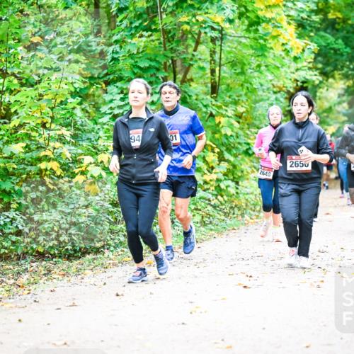 12.10.2025 - Bramfelder Halbmarathon 2025 Dr. Thomas Lammeyer http://msf.ph/oto/9343310 12.10.2025 09:58:05 Laufen 94, 01, 2650, 2555, 2648 meine-sportfotos.de